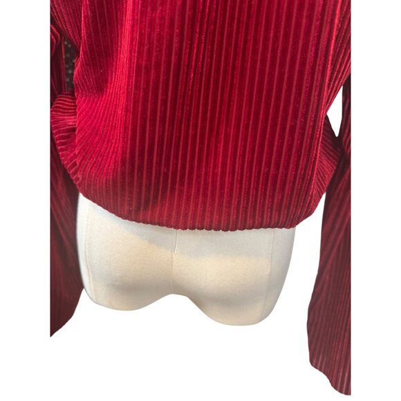 2/$15 ZARA Red Berry Medium Velvet Long Sleeve Ribbed Top Elastic Waist - Picture 11 of 13